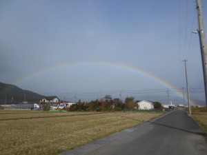 DSCN7454