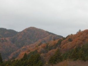 DSCN7455