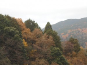 DSCN7456