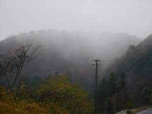 DSCN7472