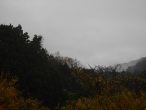 DSCN7473