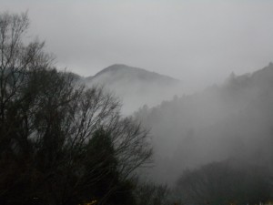 DSCN7477
