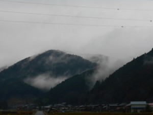 DSCN7479