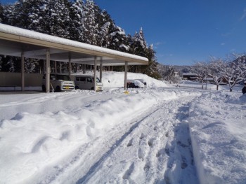 よく降りました。