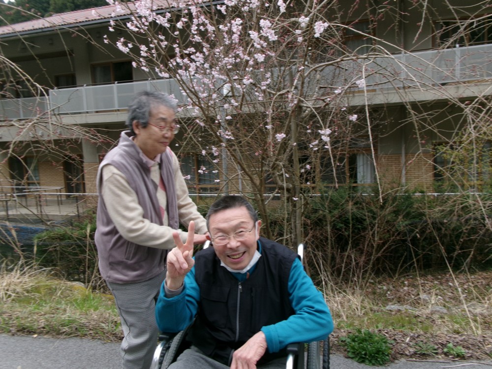 春が来ています