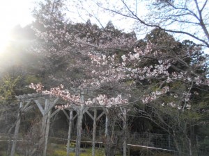 DSCN7760