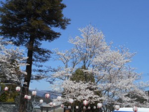DSCN7815