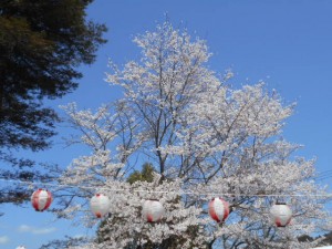 DSCN7817