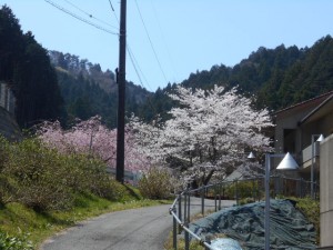 DSCN7827