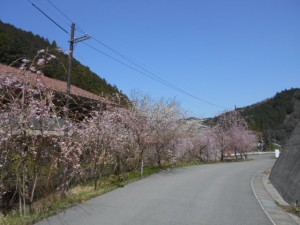 DSCN7832