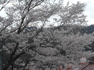 DSCN7846