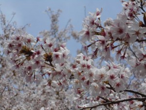 DSCN7895