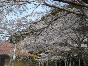 DSCN7897