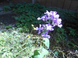 DSCN7902