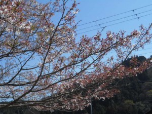 DSCN7922