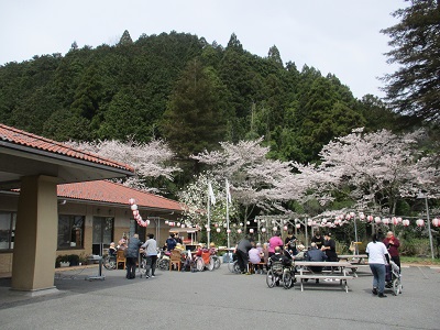 お花見