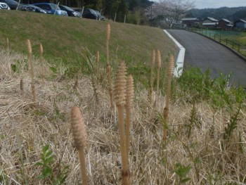 小春日和