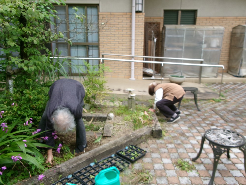 綺麗になりました。