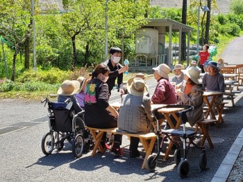 元気にラジオ体操！、鯉のぼり。