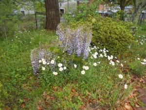 DSCN8086