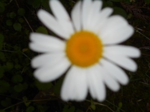 DSCN8138