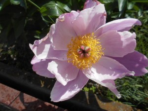 DSCN8140