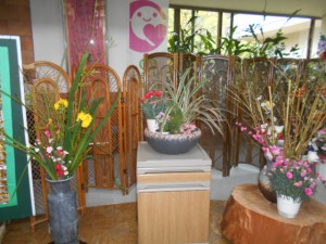 DSCN8151