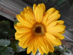 DSCN8168