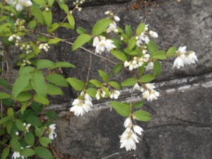 DSCN8193