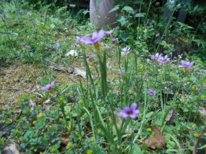 DSCN8236