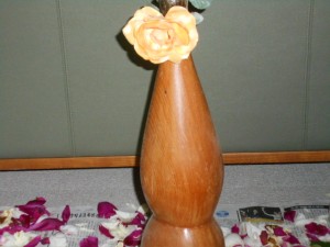 DSCN8242