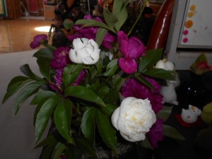 DSCN8243