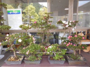DSCN8244
