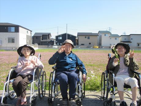 レンゲ畑まで散歩 (^^♪