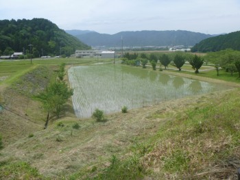 田園風景を見て散歩