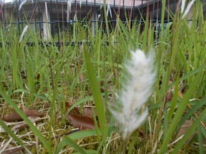 DSCN8321