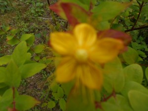 DSCN8328
