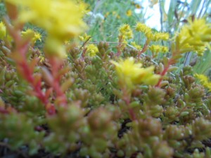 DSCN8336