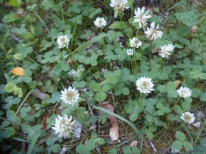 DSCN8349