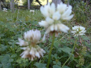 DSCN8352