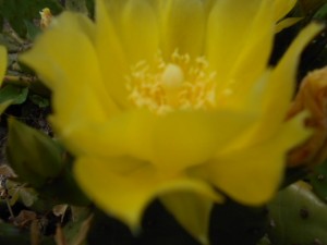 DSCN8380