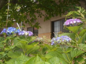DSCN8392