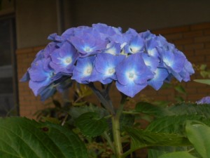 DSCN8393