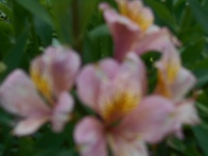 DSCN8414