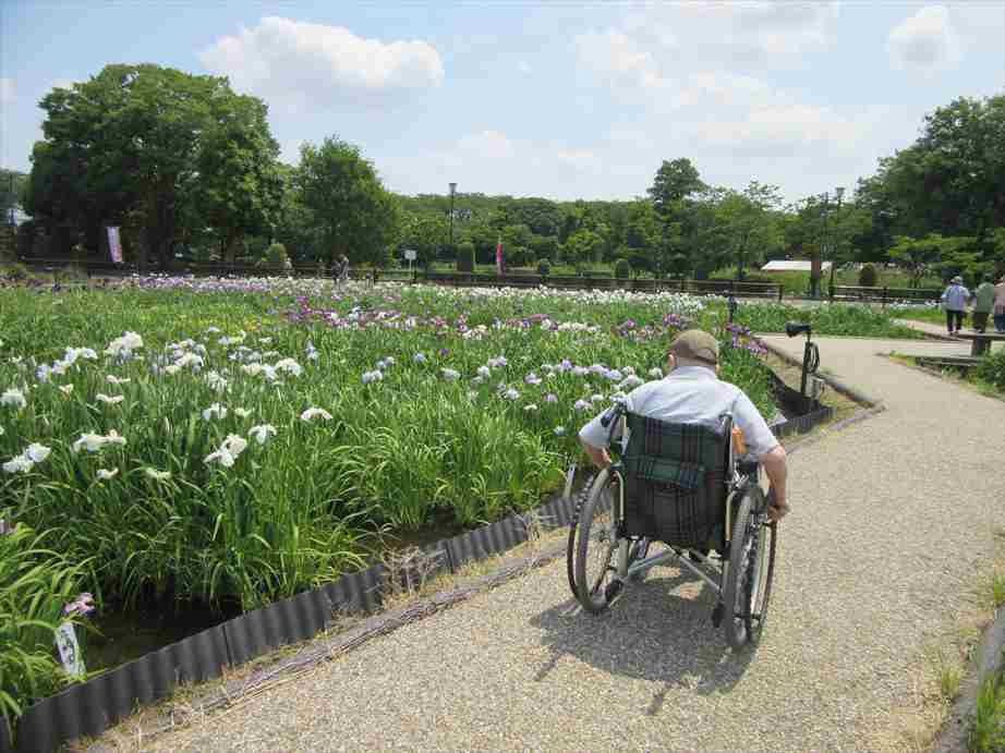 菖蒲園へ外出　第２弾