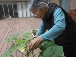 試食会