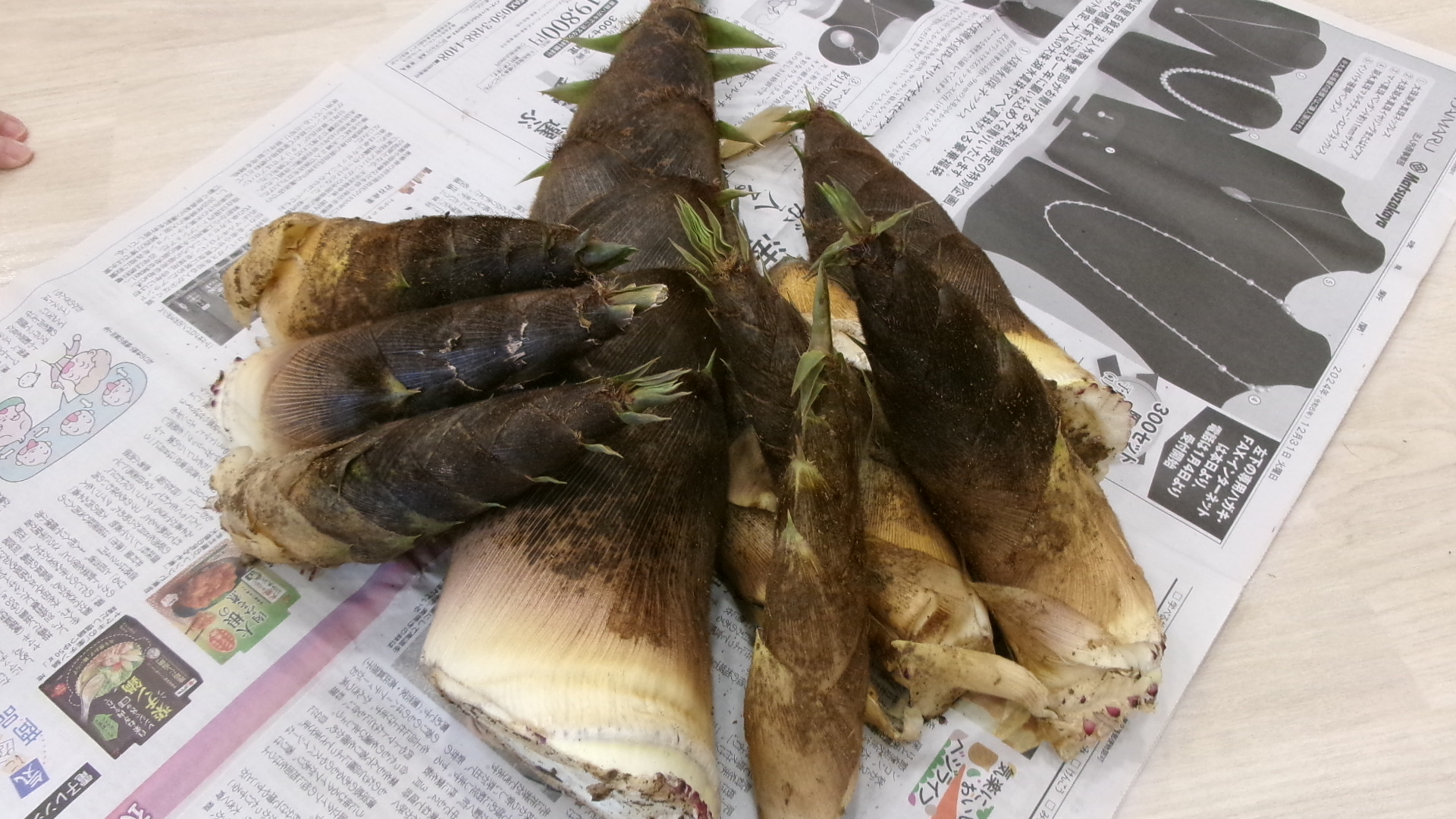 初物を頂きます