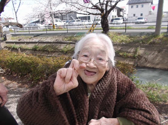 桜の花見5日目