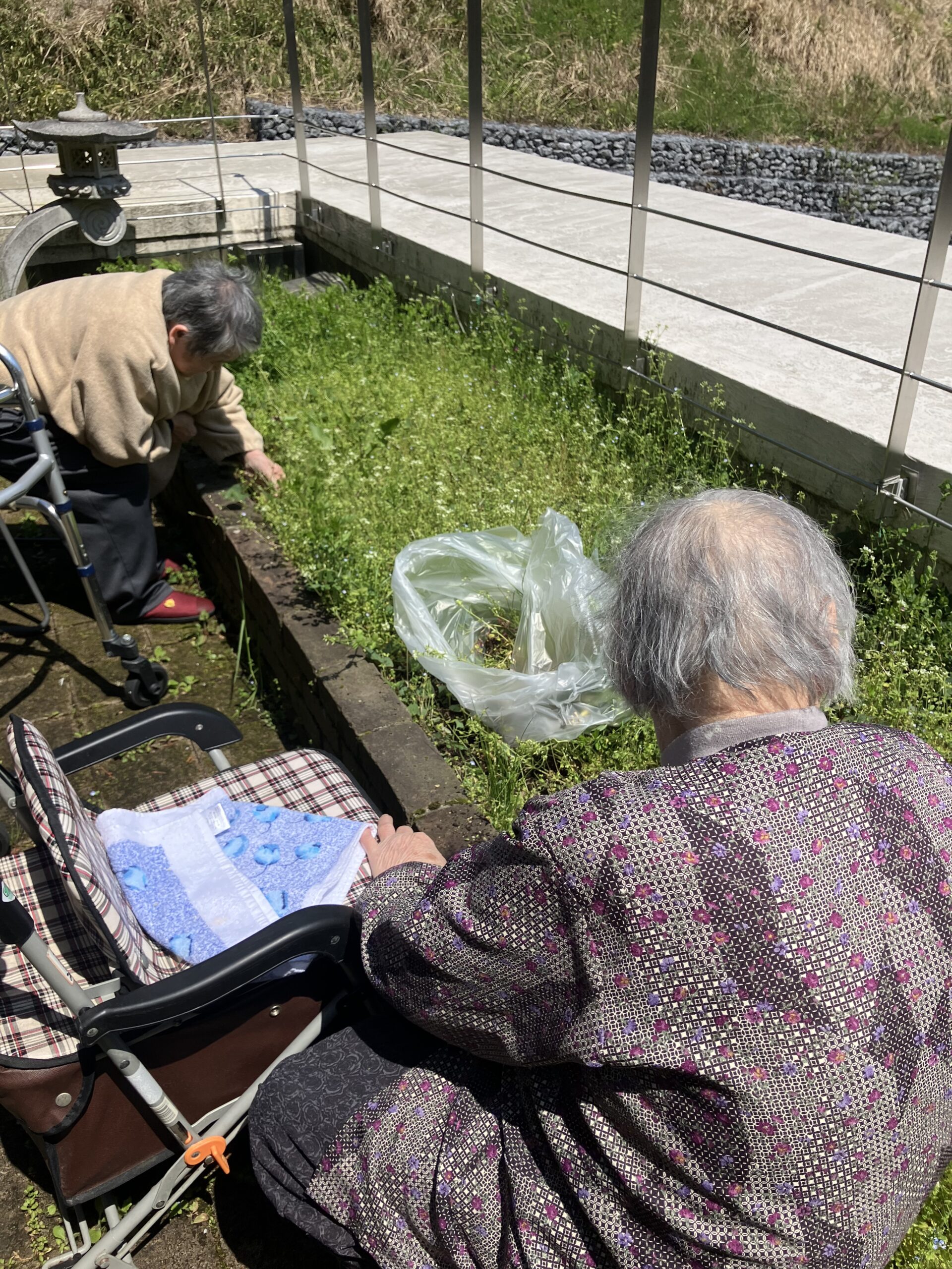 春一番