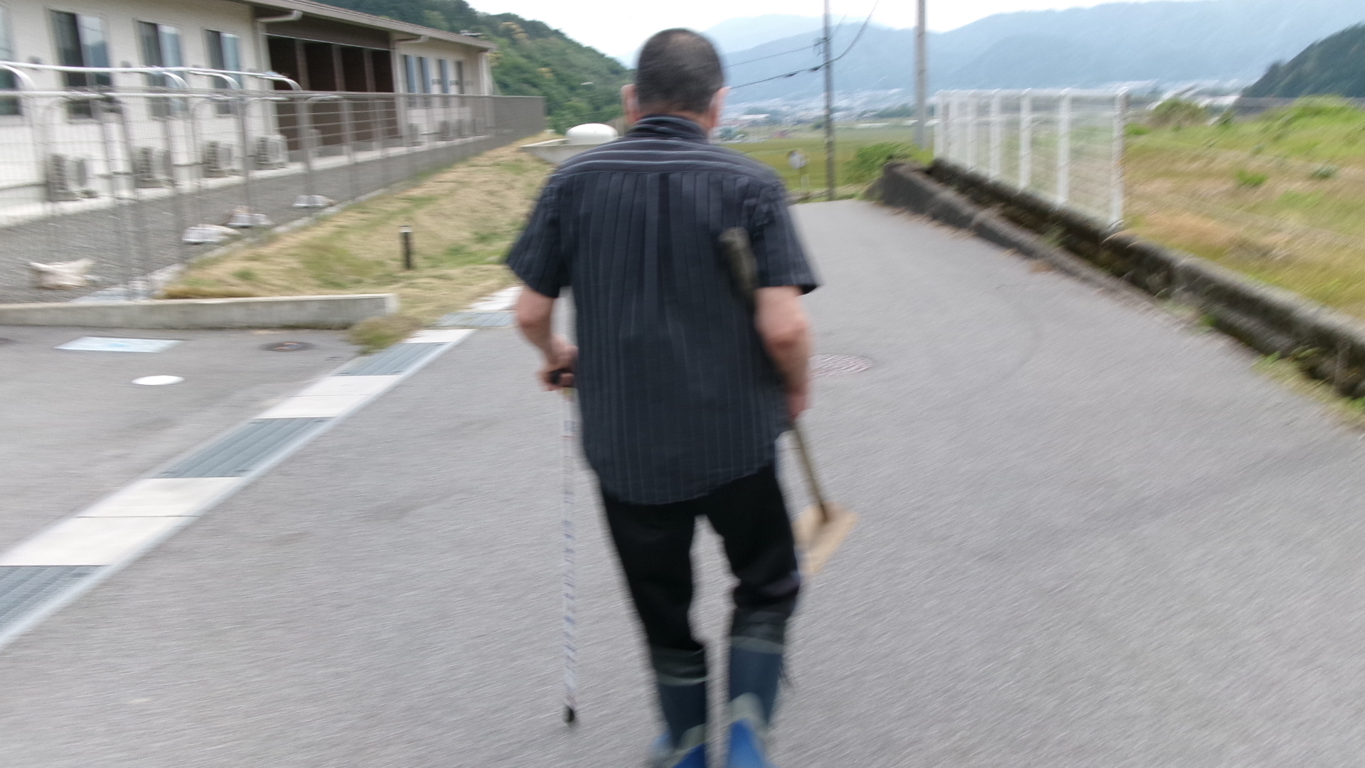 プランターの手入れ